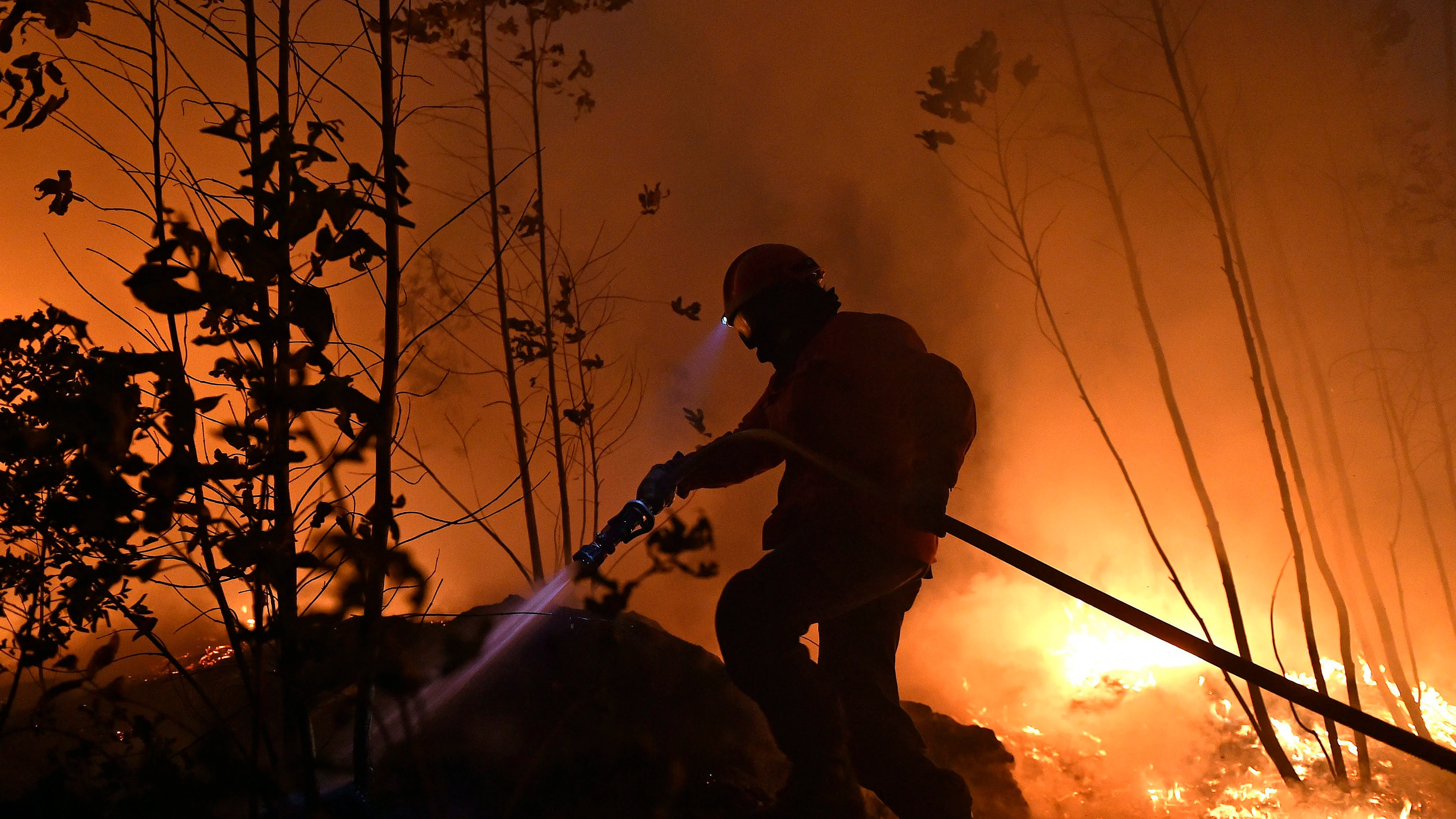 Un bombero combate un incendio forestal en Aveiro, Portugal.