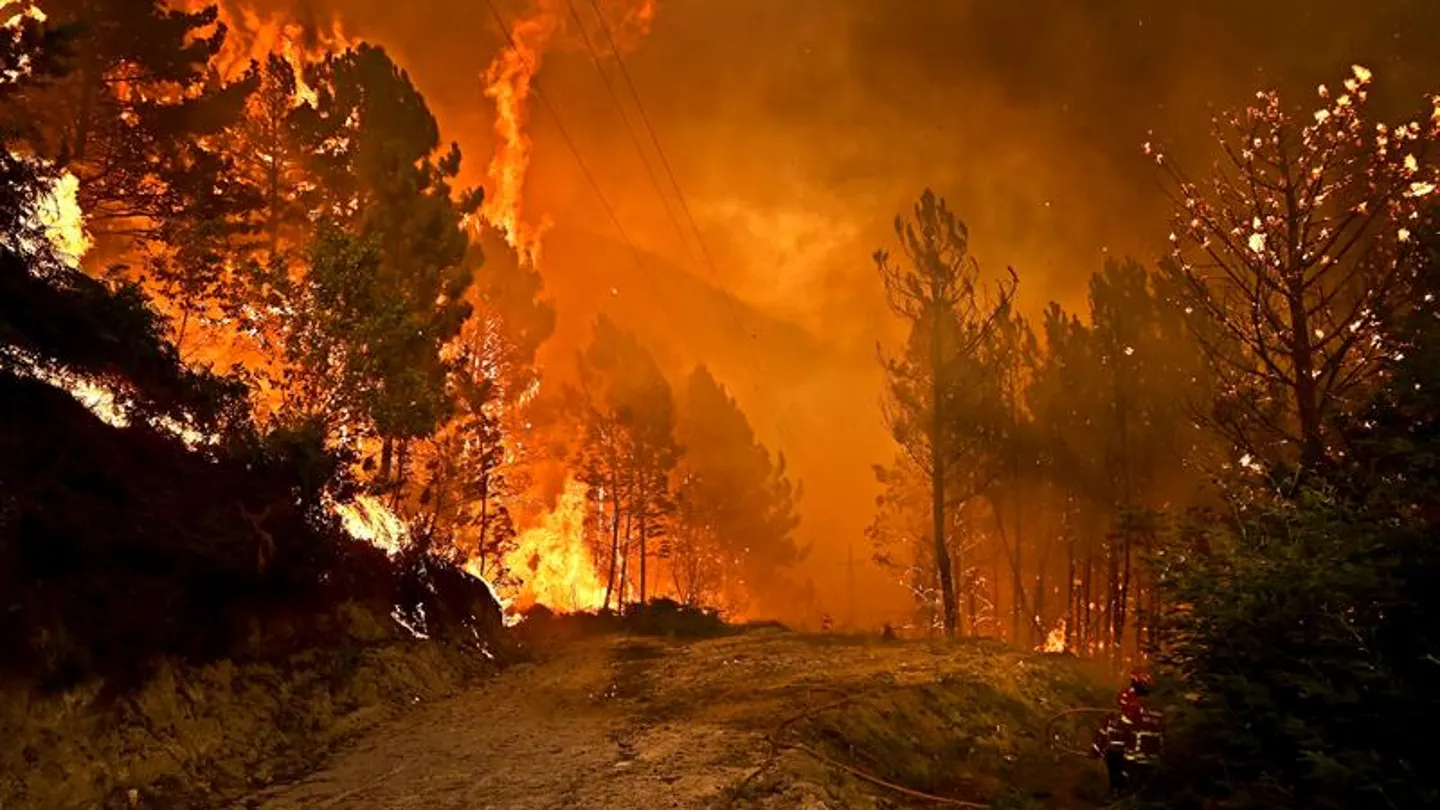 Las llamas arrasan con todo a su paso mientras los bomberos intentan extinguir el incendio Las llamas arrasan con todo a su paso mientras los bomberos intentan extinguir el incendio