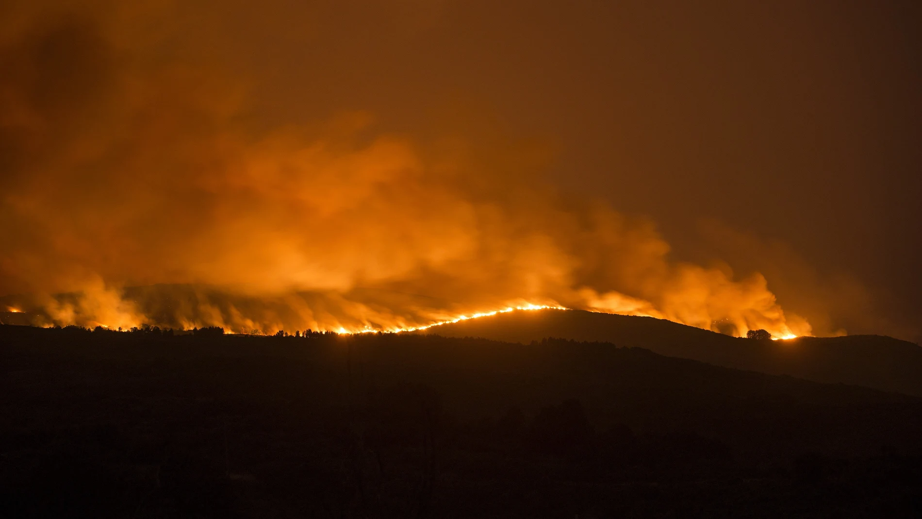 Incendio forestal declarado en Cualedro, Ourense.