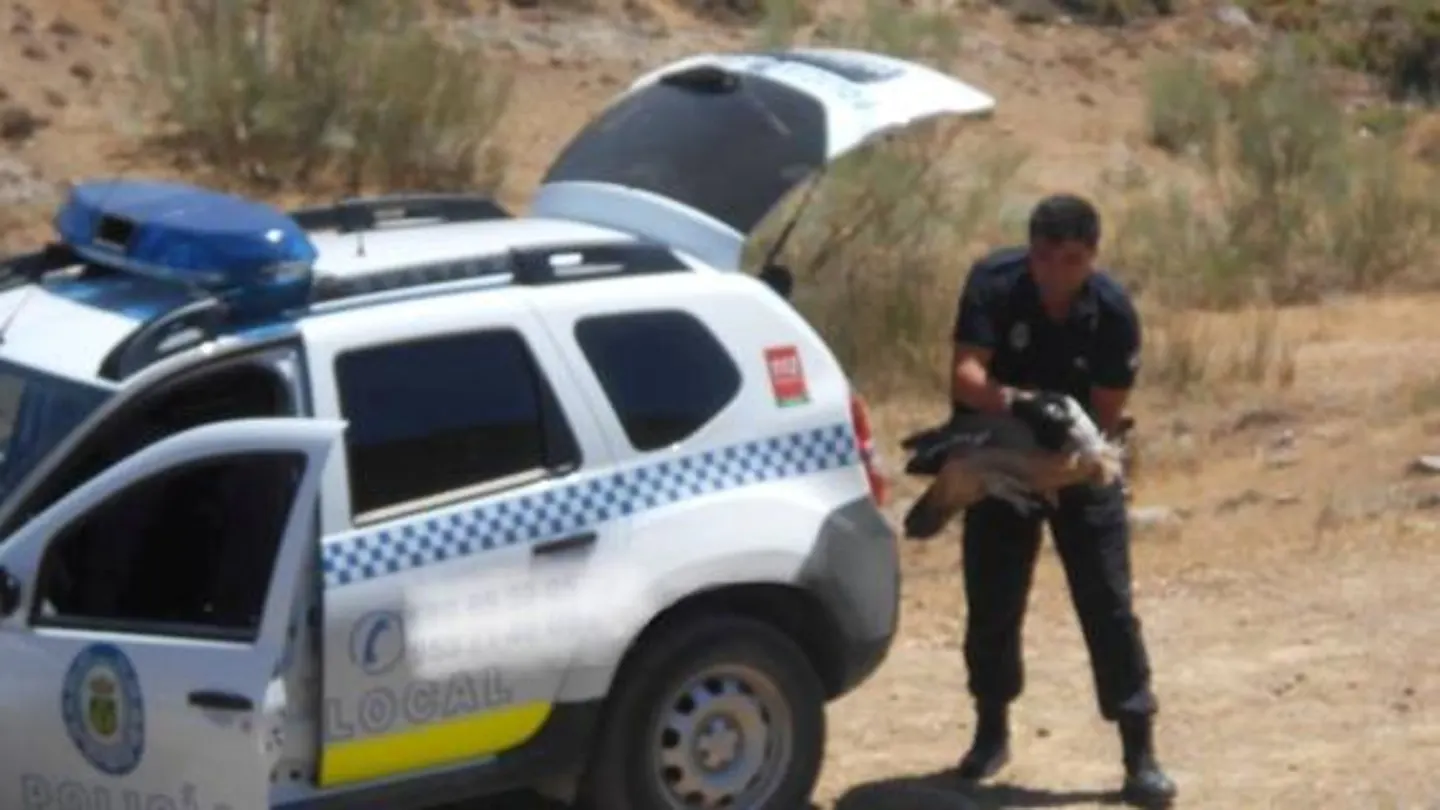La Policía de Jaen rescatando al buitre La Policía de Jaen rescatando al buitre