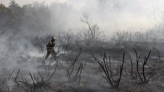 Incendios en Galicia Incendios en Galicia