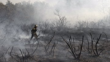 Incendios en Galicia