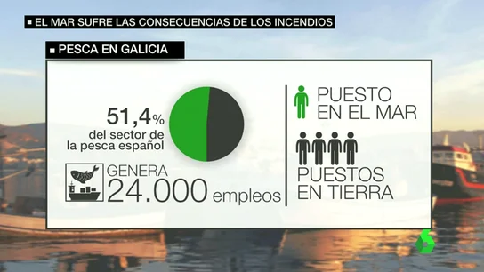 Las cenizas resultantes de los incendios de Galicia amenazan al marisco y pescado de la zona Las cenizas resultantes de los incendios de Galicia amenazan al marisco y pescado de la zona