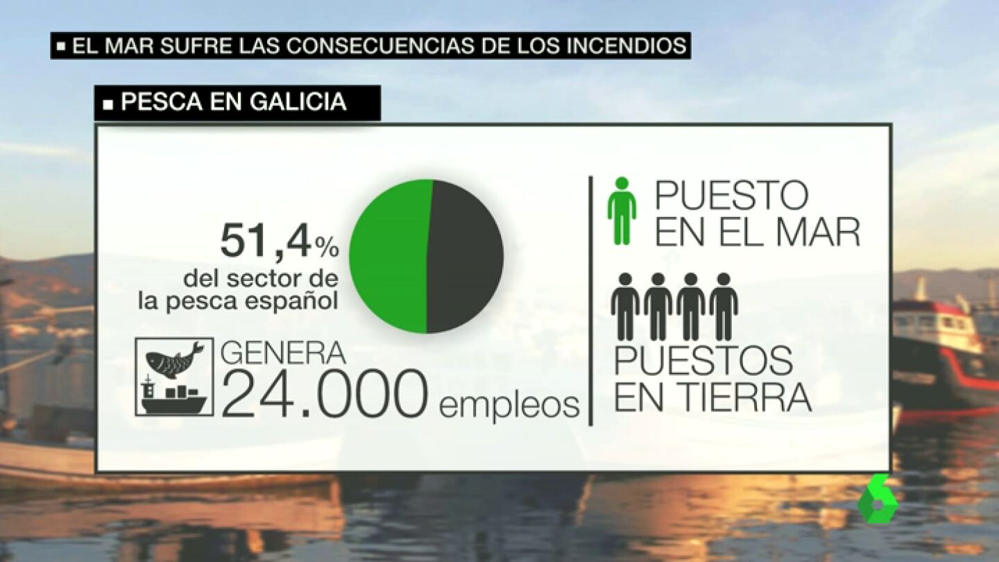 Las cenizas resultantes de los incendios de Galicia amenazan al marisco y pescado de la zona
