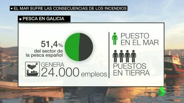 Las cenizas resultantes de los incendios de Galicia amenazan al marisco y pescado de la zona