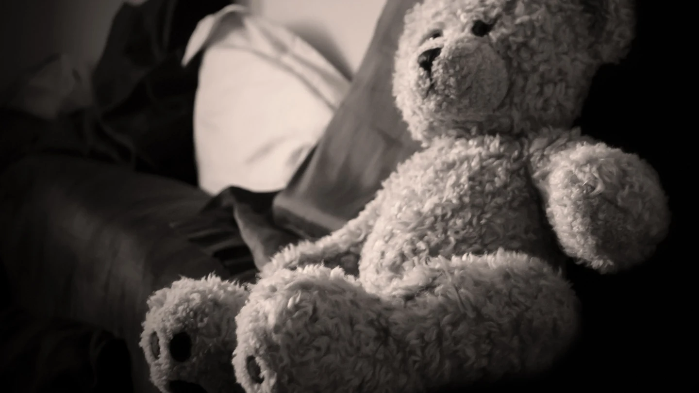 Oso de peluche Oso de peluche