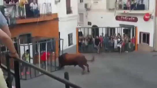 Frame 14.458497 de: Un toro rompe la jaula de seguridad y embiste brutalmente a un hombre en Onteniente, en Valencia Frame 14.458497 de: Un toro rompe la jaula de seguridad y embiste brutalmente a un hombre en Onteniente, en Valencia