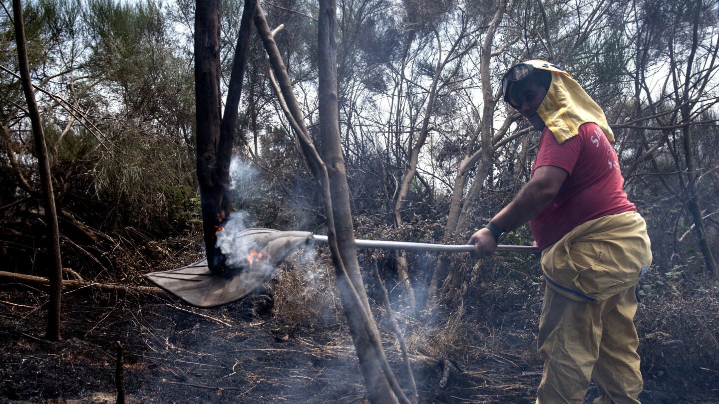 Agente foresta en las labores de extinci&oacute;n