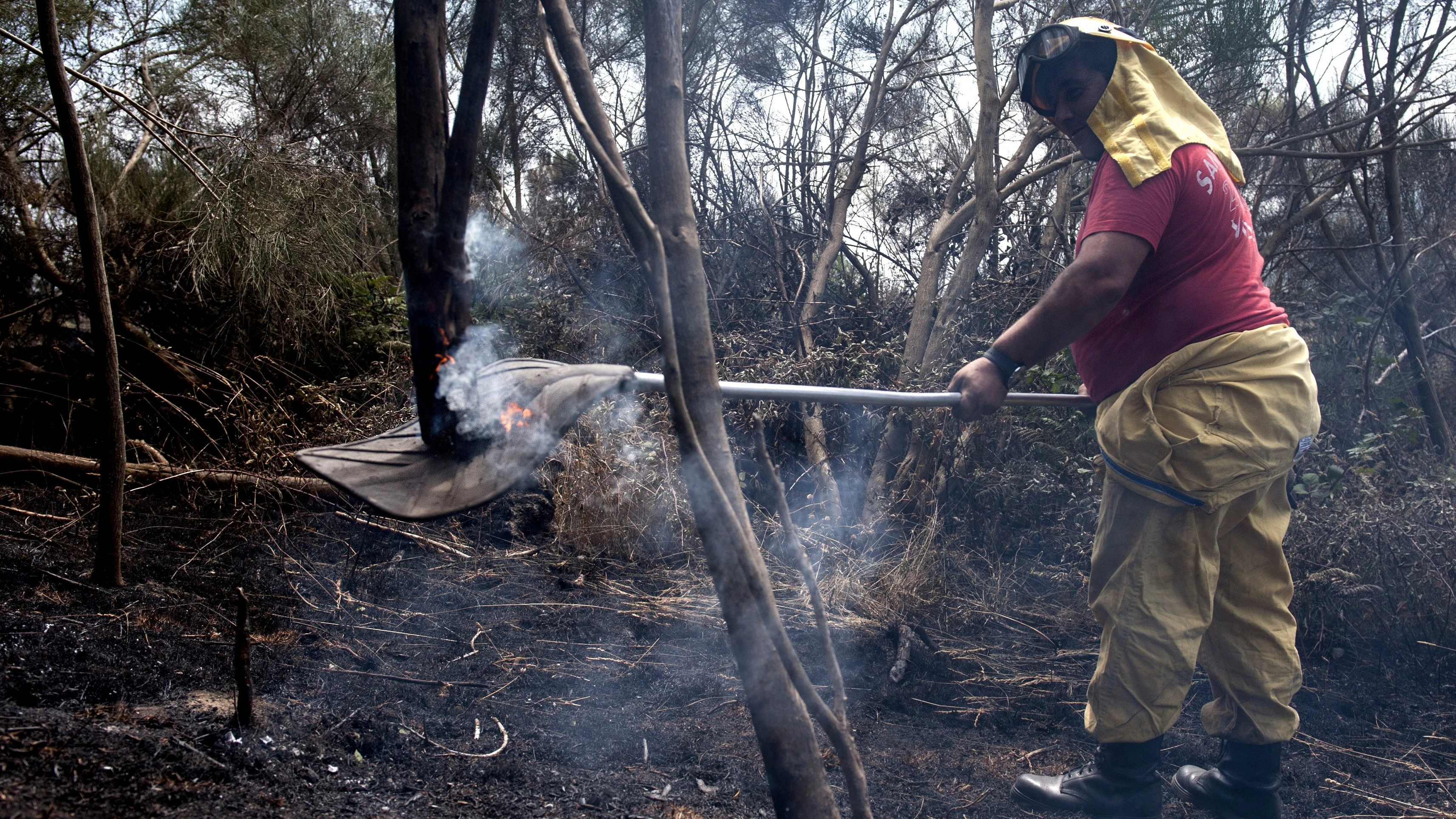 Agente foresta en las labores de extinción