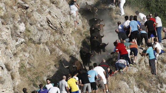 Varias personas asisten al encierro del Pil&oacute;n, en Falces, Navarra