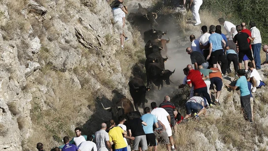 Varias personas asisten al encierro del Pilón, en Falces, Navarra Varias personas asisten al encierro del Pilón, en Falces, Navarra