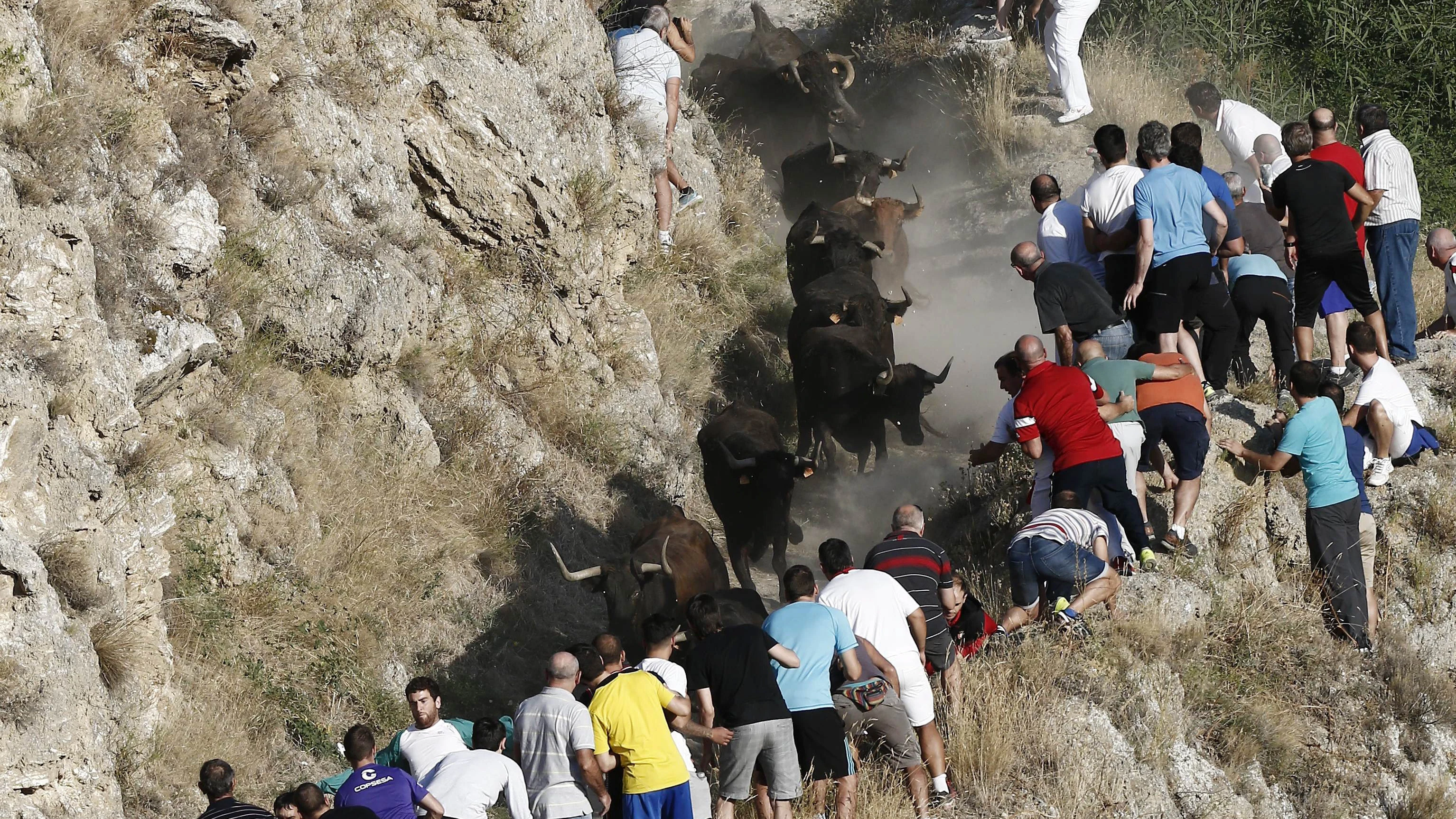 Varias personas asisten al encierro del Pilón, en Falces, Navarra