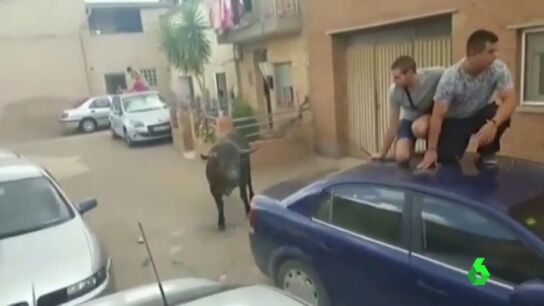 Frame 0.947907 de: El Gobierno de Arag&oacute;n investiga el encierro en el que se escap&oacute; un novillo que hiri&oacute; a una menor de siete a&ntilde;os