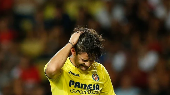 Pato lamentándose tras una acción fallida Pato lamentándose tras una acción fallida