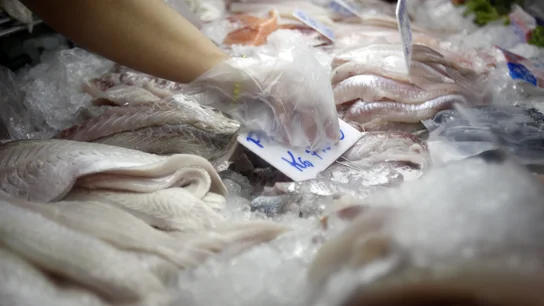 Vista de un puesto de venta de pescado Vista de un puesto de venta de pescado