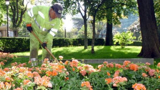 Imagen de archivo de un jardinero