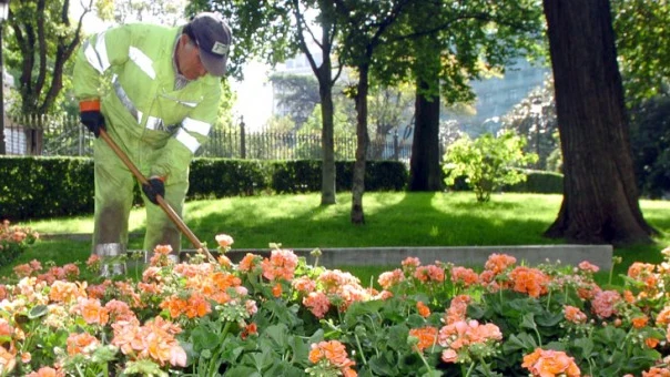 Imagen de archivo de un jardinero