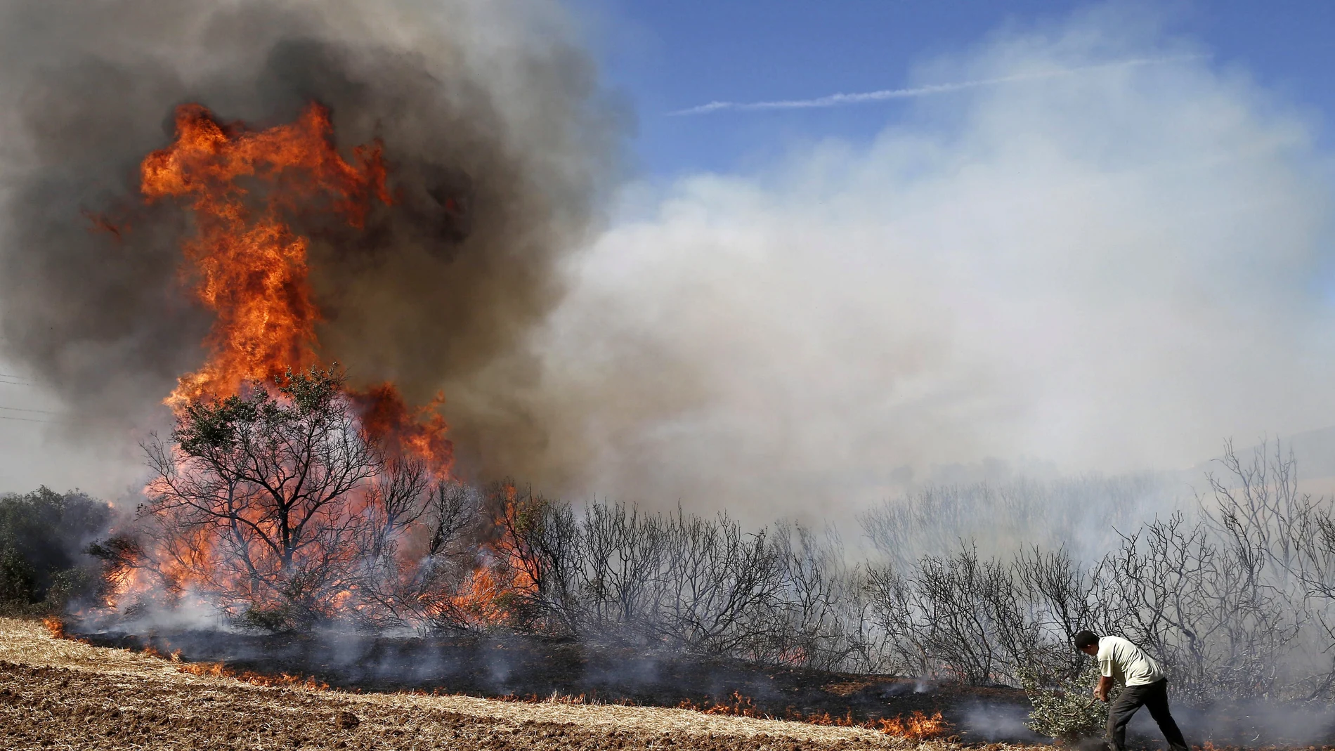 Un hombre combate las llamas del incendio declarado en las inmediaciones de la localidad navarra de Tafalla.