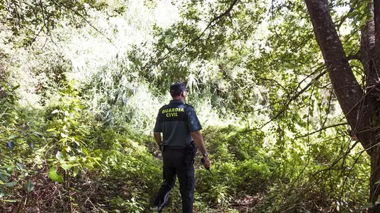 Se amplía el perímetro de búsqueda de Diana por toda España Se amplía el perímetro de búsqueda de Diana por toda España