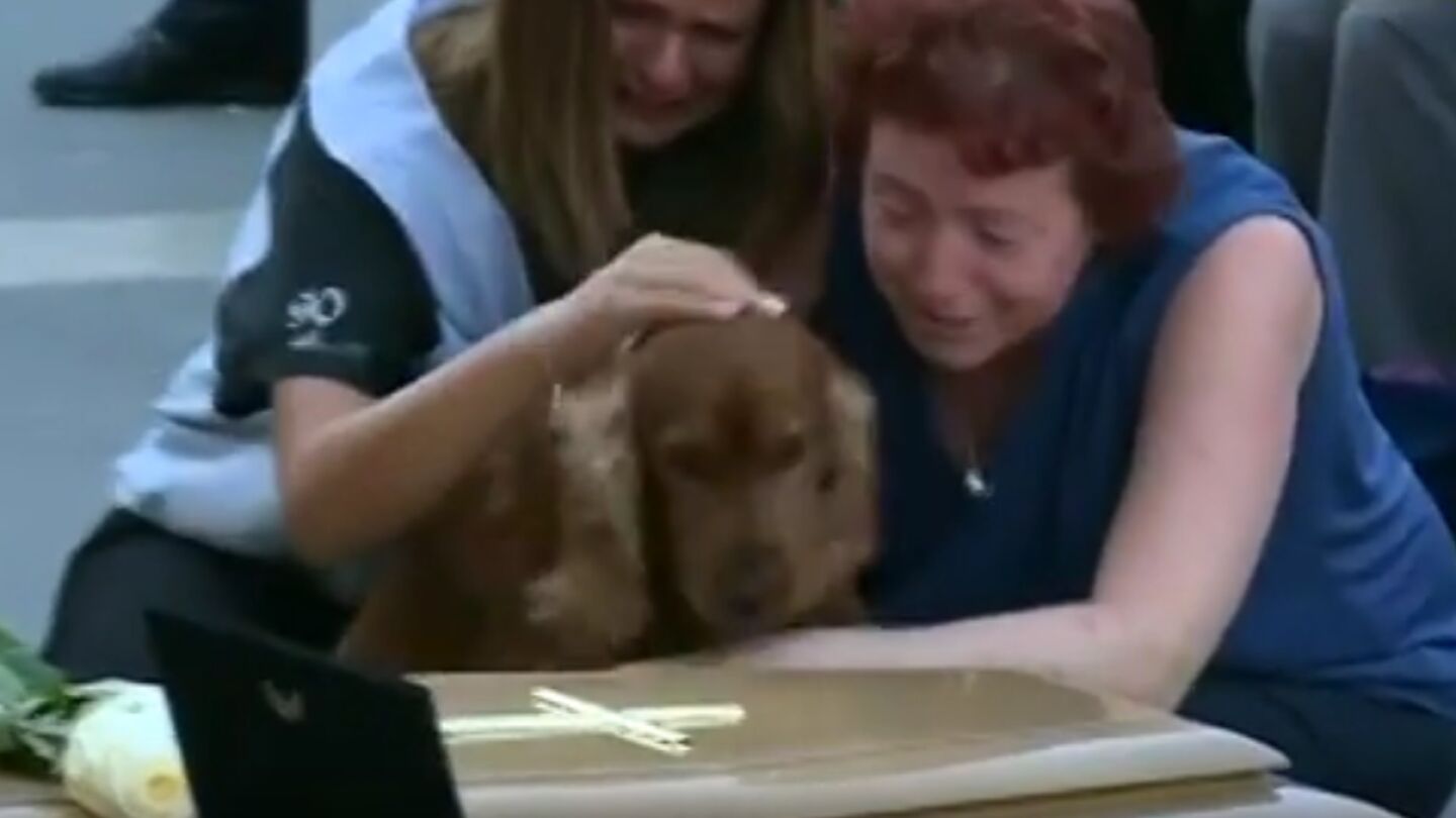 Momento del funeral en el que el perro se acerca al ata&uacute;d de su due&ntilde;o