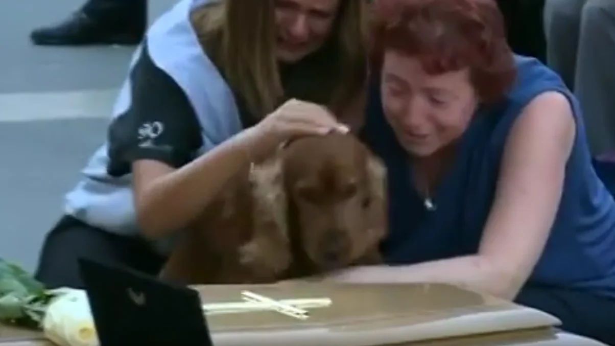Momento del funeral en el que el perro se acerca al ataúd de su dueño Momento del funeral en el que el perro se acerca al ataúd de su dueño