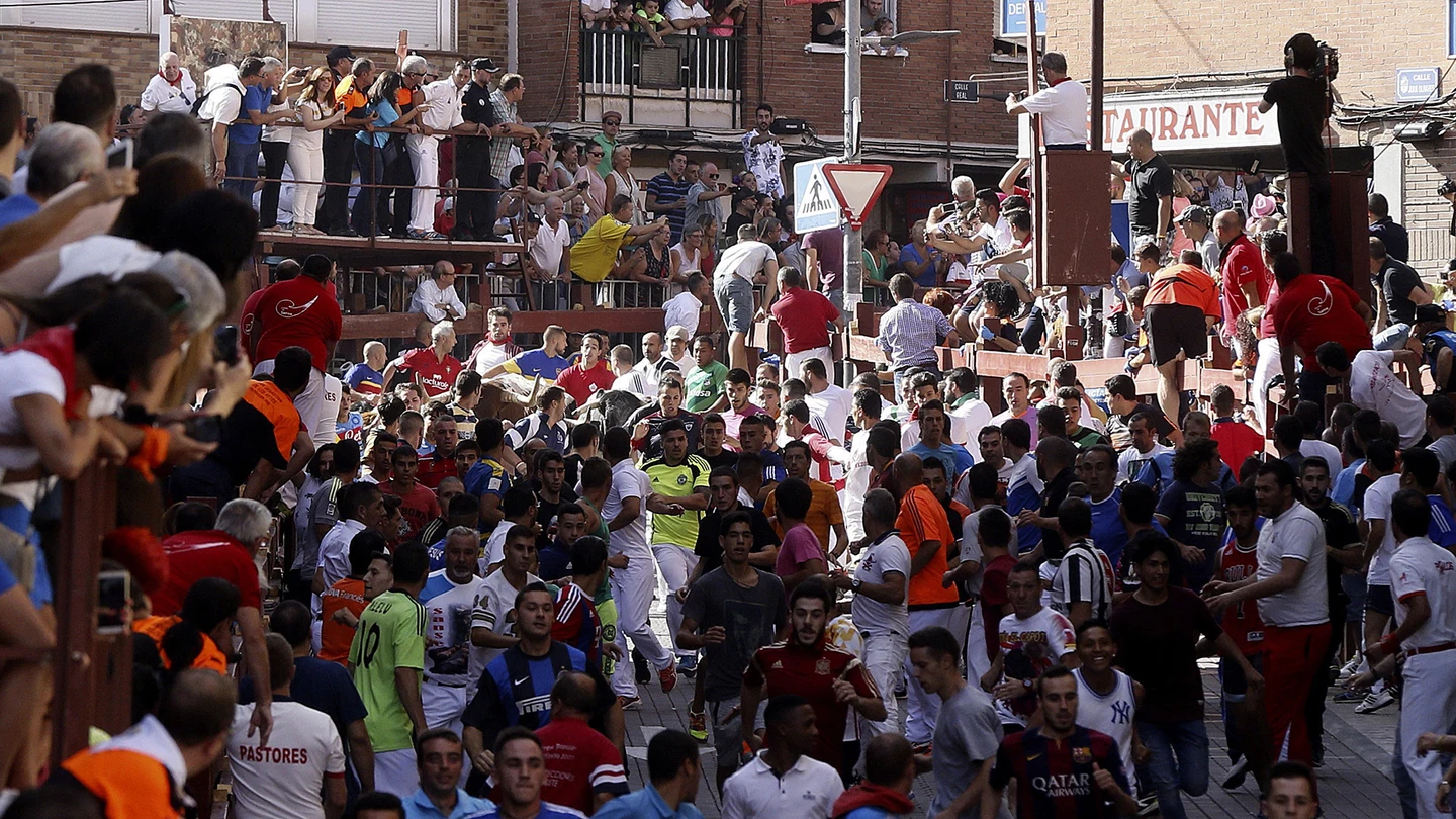 Tercer encierro Sanse 2016 | Cortés, Daniel Ruiz, Hnos. Jiménez Tercer encierro de las fiestas de San Sebastián de los Reyes, con reses de Cortés, Daniel Ruiz y Hermanos García Jiménez.