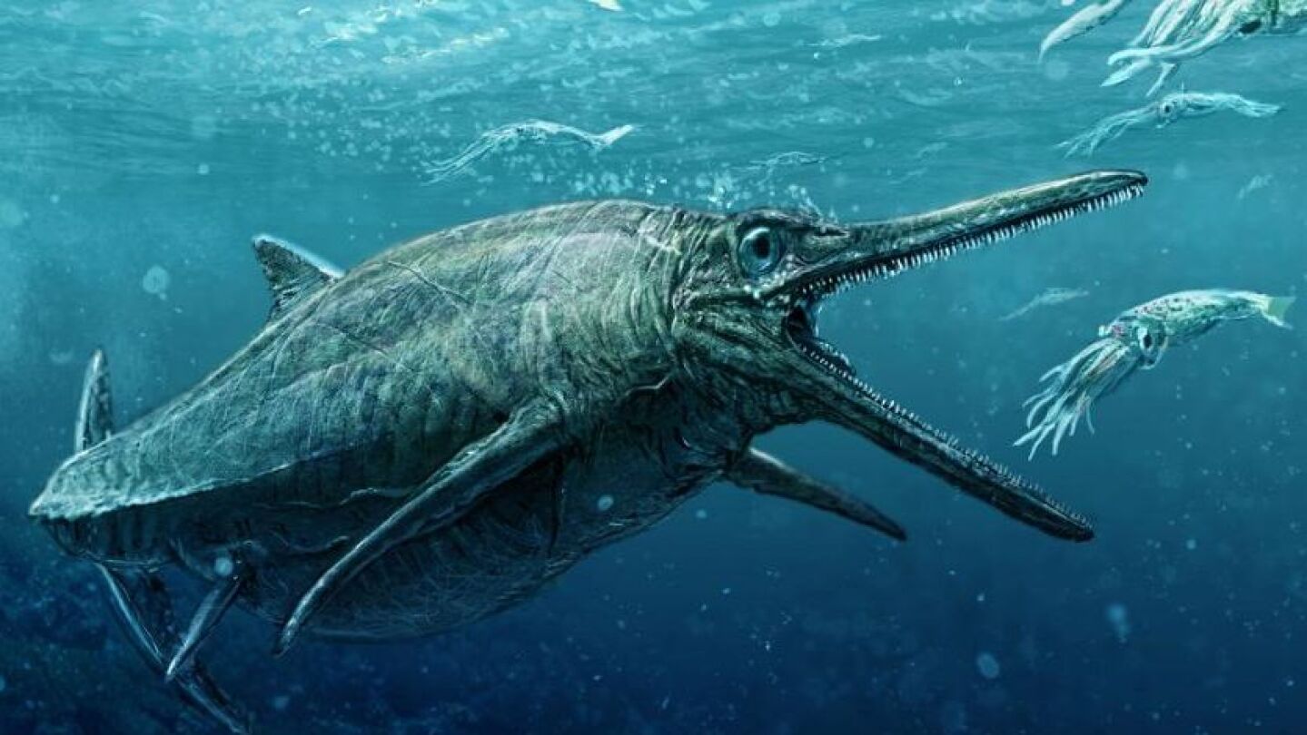 Ichthyosaurus