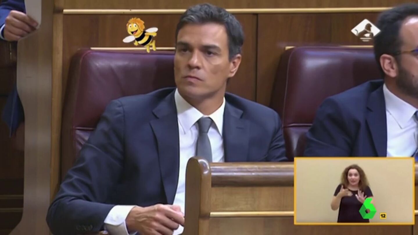 Frame 6.867952 de: Pedro S&aacute;nchez persigue a la abeja Maya en busca de un Congreso multicolor