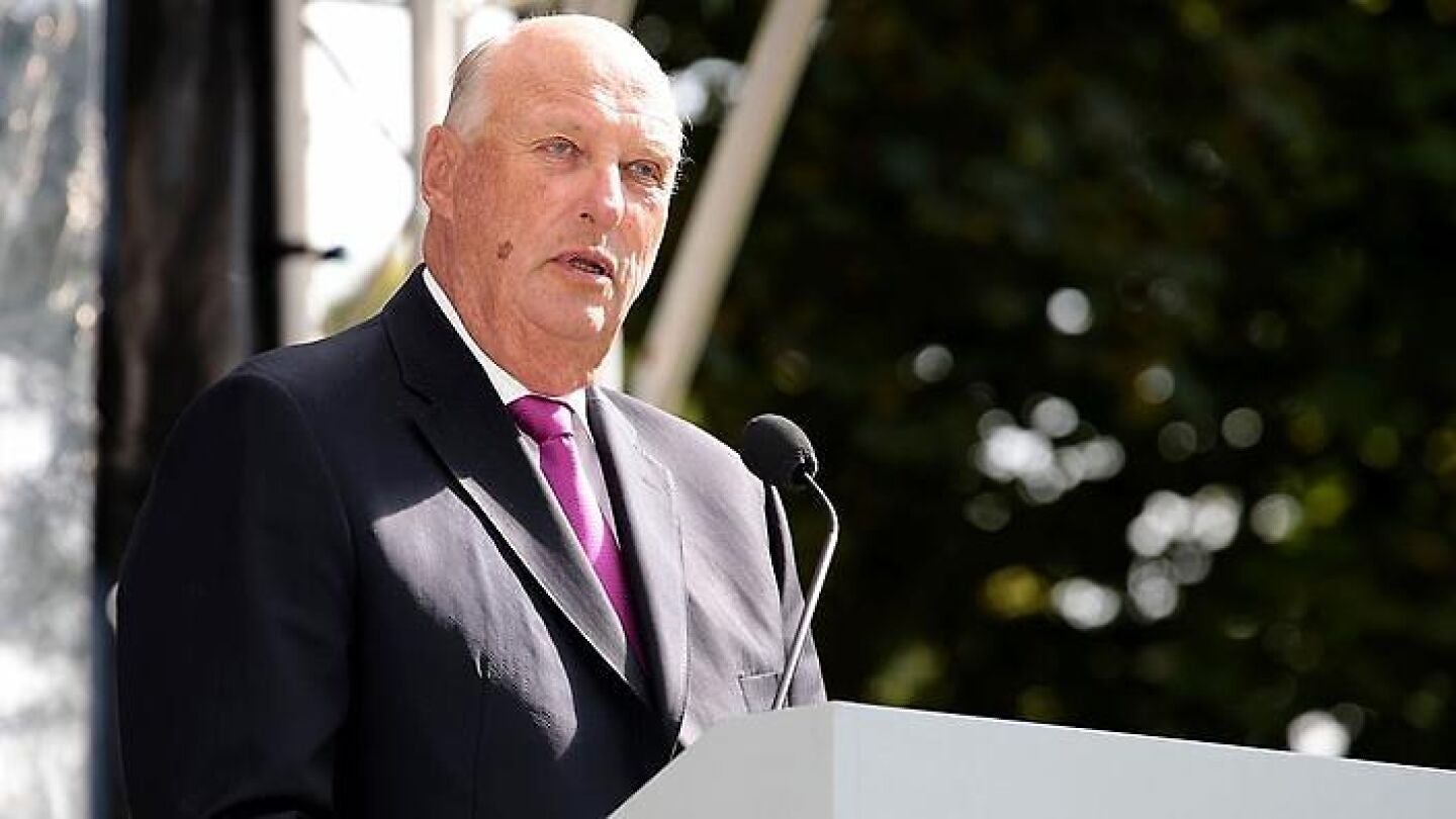 El rey durante el discurso del 25 aniversario 