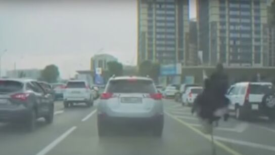 Imagen del momento en el que aparece el avestruz.