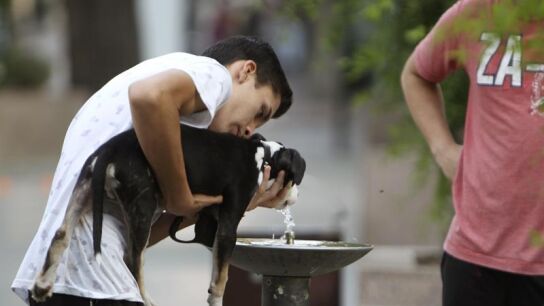 Un joven da de beber a su perro