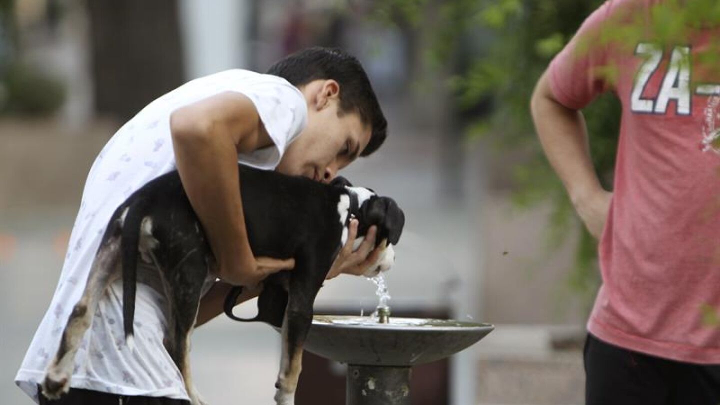 Un joven da de beber a su perro