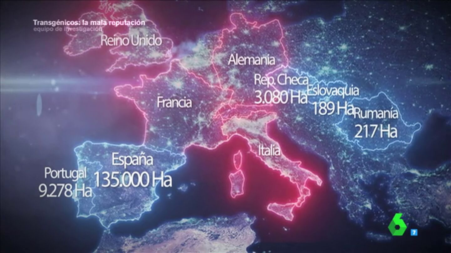 Frame 88.709088 de: Espa&ntilde;a, el granero transg&eacute;nico de Europa donde el ma&iacute;z aragon&eacute;s es el rey