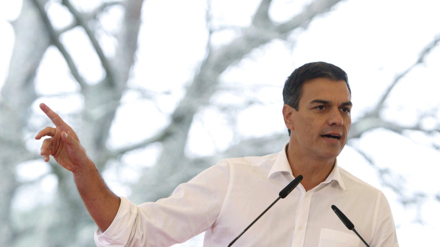 Pedro S&aacute;nchez