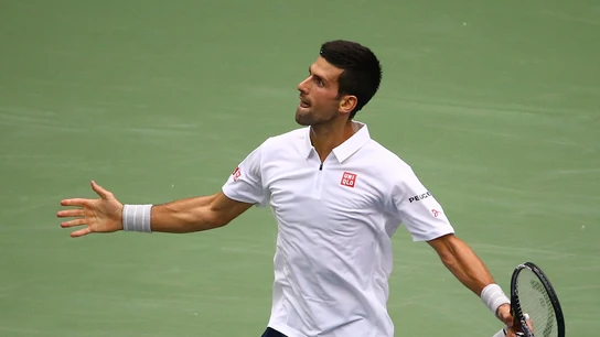 Novak Djokovic celebra una victoria en el US Open Novak Djokovic celebra una victoria en el US Open