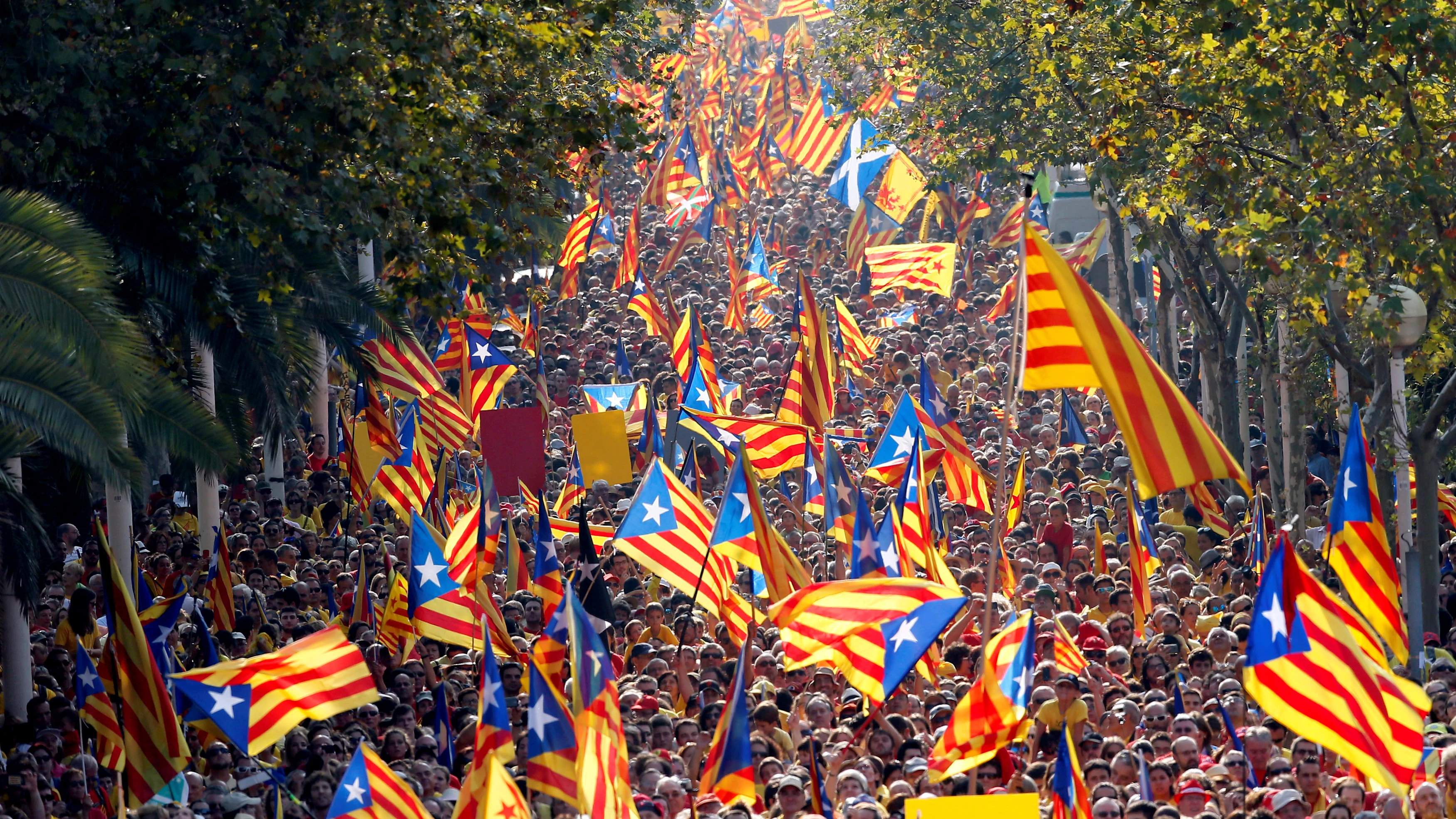 Manifestación independentista en la Diada de Cataluña.