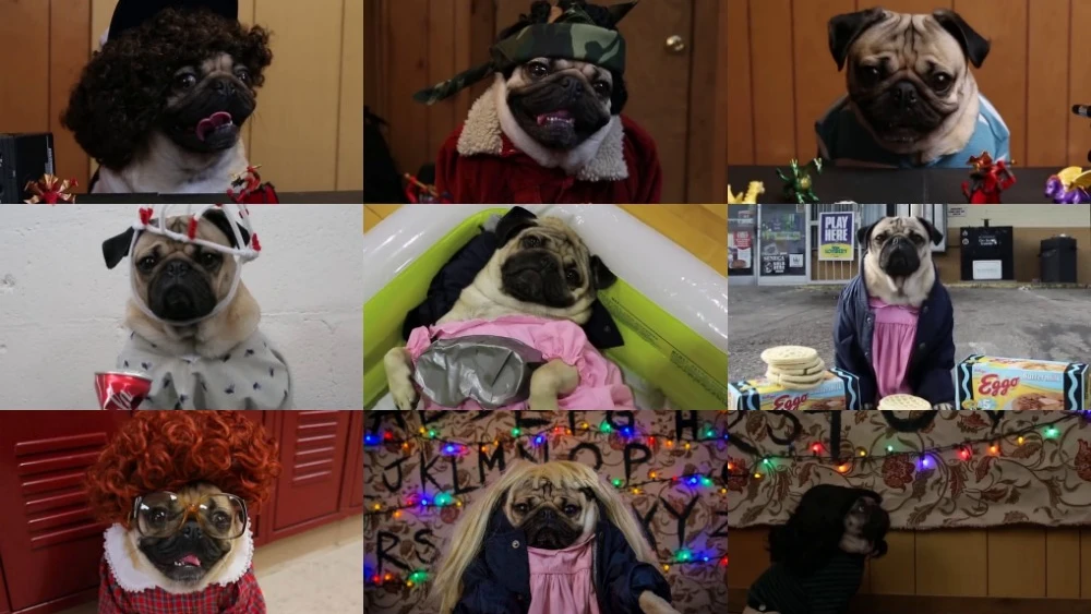 Varios personajes de 'Stranger Things' recreados por Doug the Pug