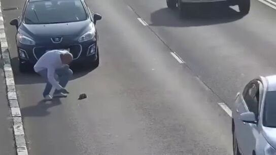 Frame 55.369279 de: Un hombre no duda en parar su coche en medio de una autopista en Rusia para salvar a un peque&ntilde;o gato de una muerte segura