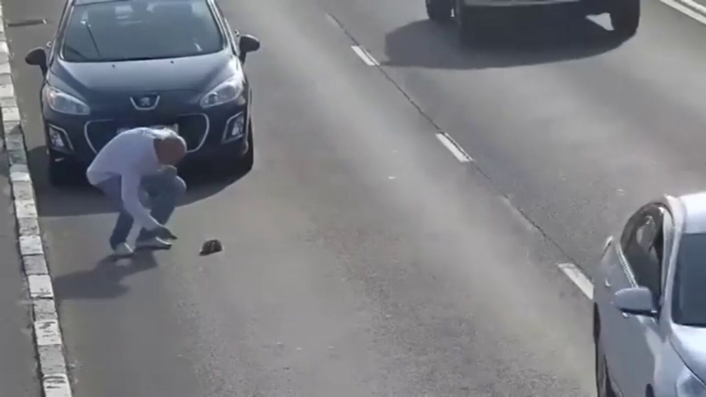Frame 55.369279 de: Un hombre no duda en parar su coche en medio de una autopista en Rusia para salvar a un peque&ntilde;o gato de una muerte segura