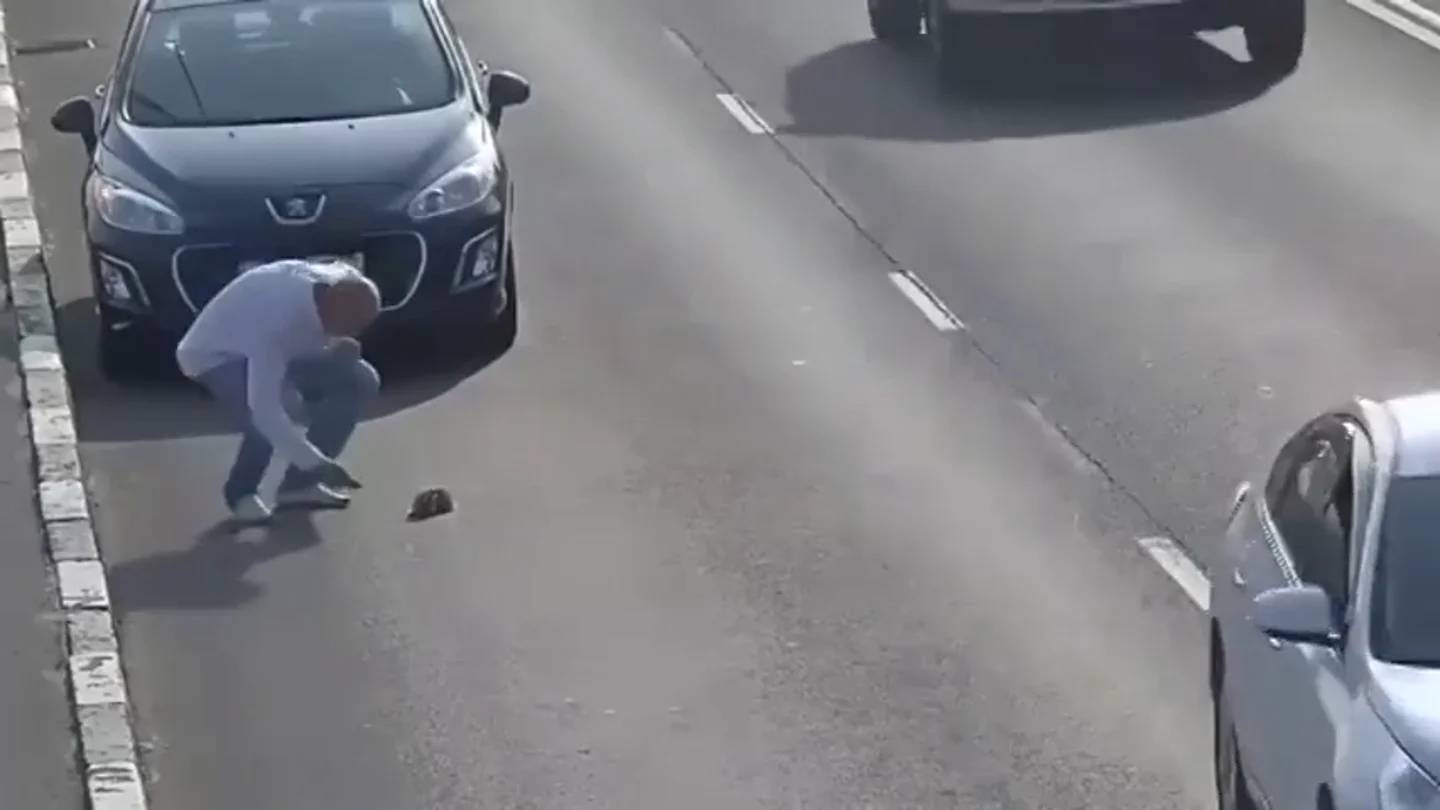 Frame 55.369279 de: Un hombre no duda en parar su coche en medio de una autopista en Rusia para salvar a un pequeño gato de una muerte segura Frame 55.369279 de: Un hombre no duda en parar su coche en medio de una autopista en Rusia para salvar a un pequeño gato de una muerte segura