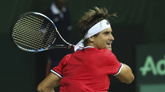 David Ferrer ejecuta un 'drive' ante Saketh Myneni David Ferrer ejecuta un 'drive' ante Saketh Myneni