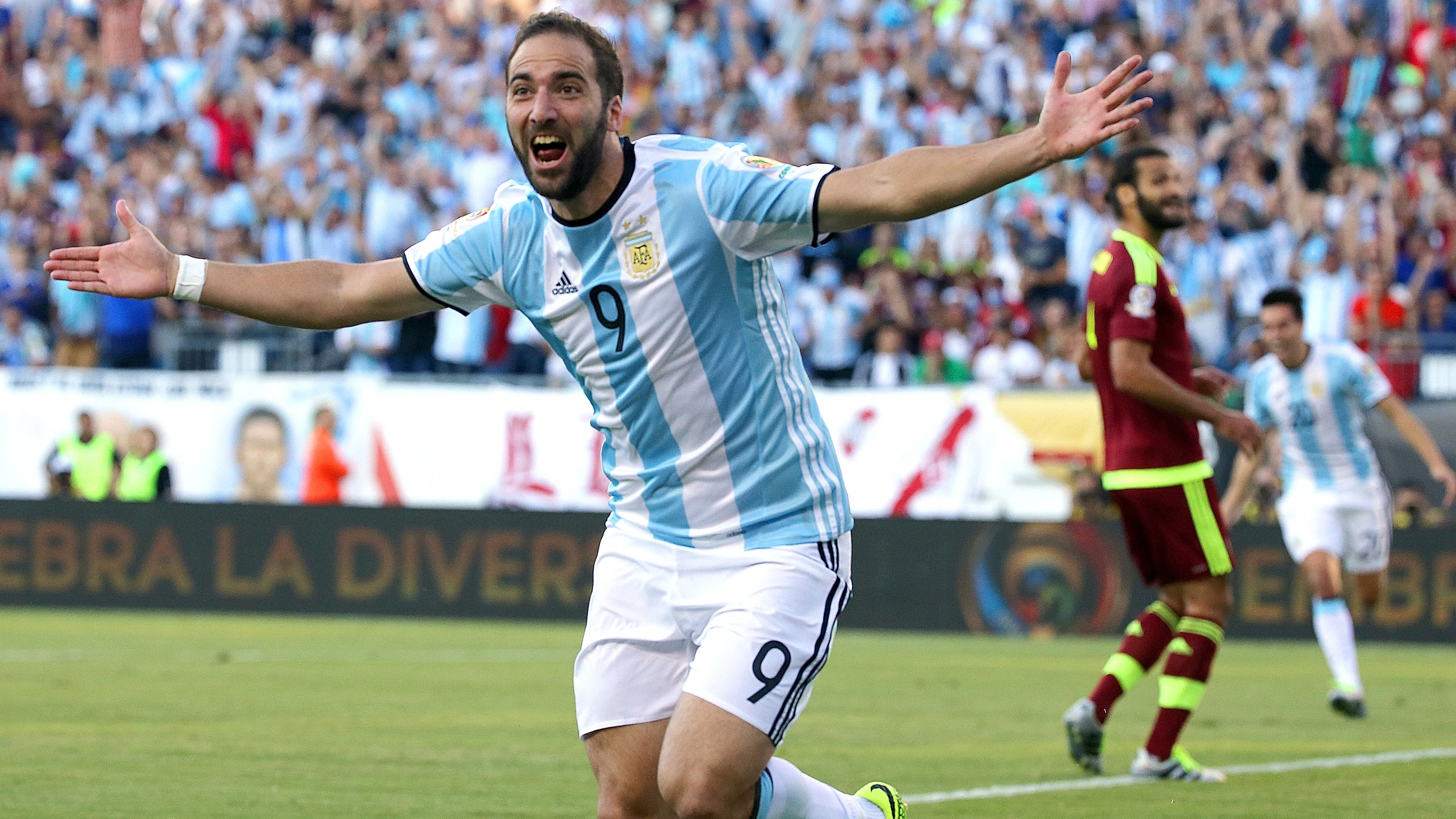 Higua&iacute;n celebra un gol con Argentina