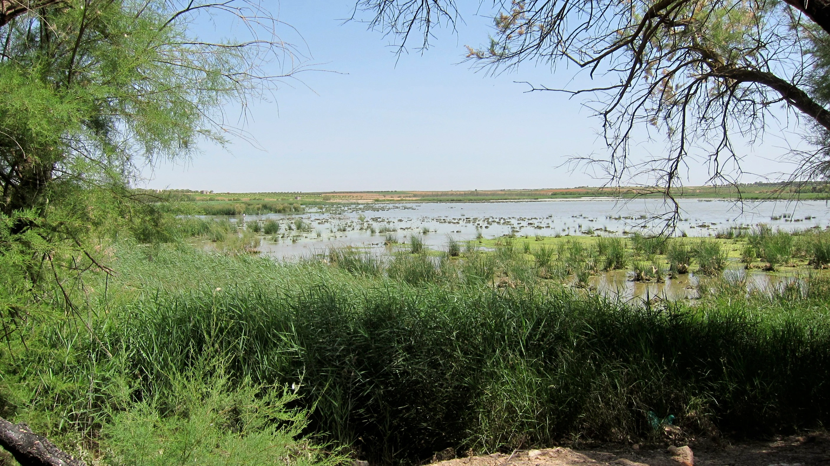 Humedal de Don Quijote, en Pedro Mu&ntilde;oz (Ciudad Real)