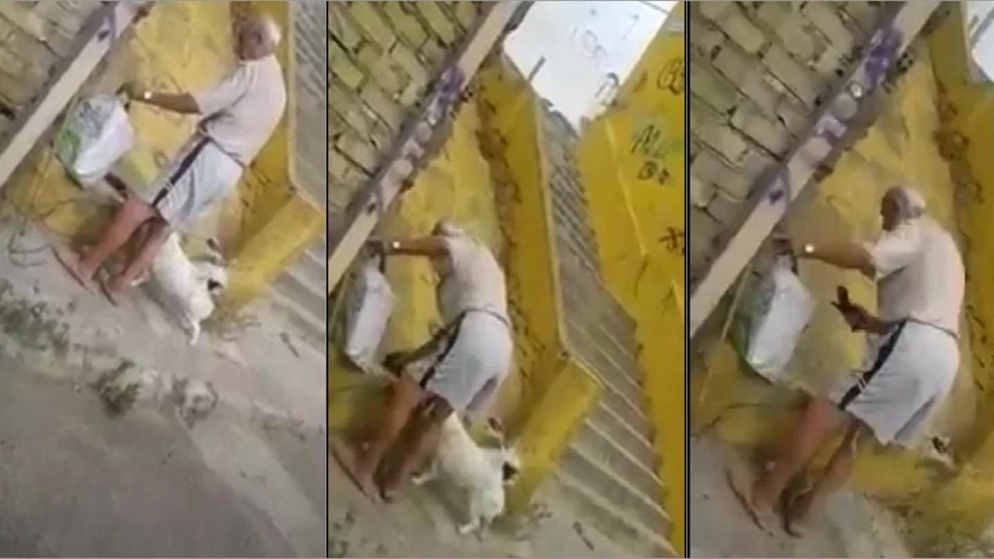 El hombre ha sido grabado por una vecina El hombre ha sido grabado por una vecina