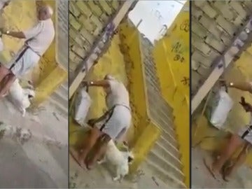 El hombre ha sido grabado por una vecina El hombre ha sido grabado por una vecina