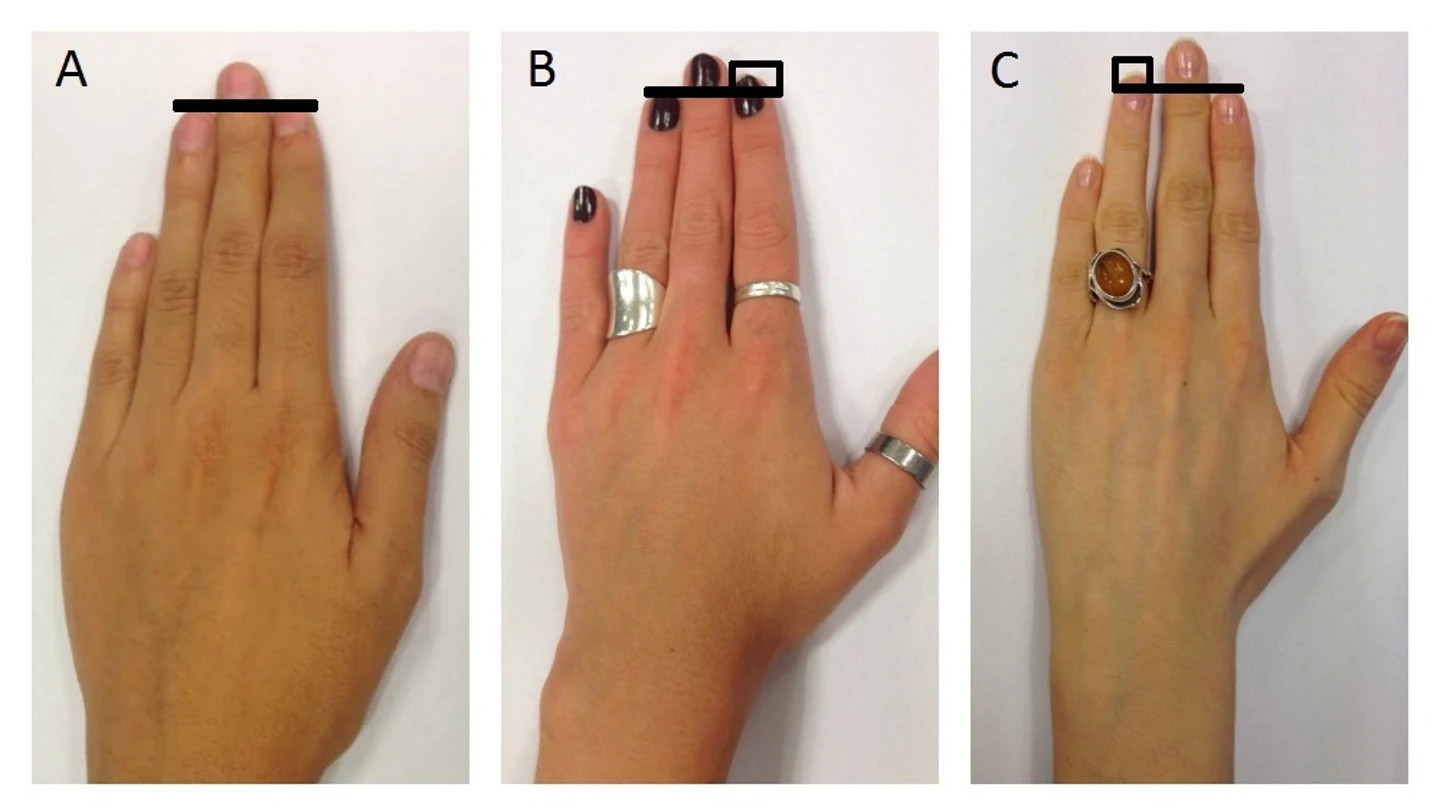 Personalidad según la diferencia entre los dedos anular e índice Personalidad según la diferencia entre los dedos anular e índice