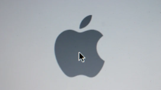 Apple Apple