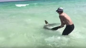 Un hombre acerca a un tiburón martillo a la playa para salvarlo