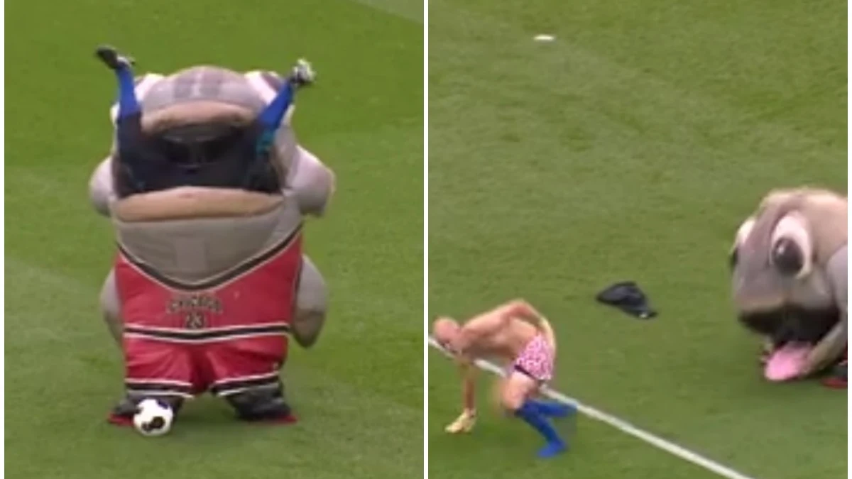 La mascota del Derby County 'se come' a un hombre