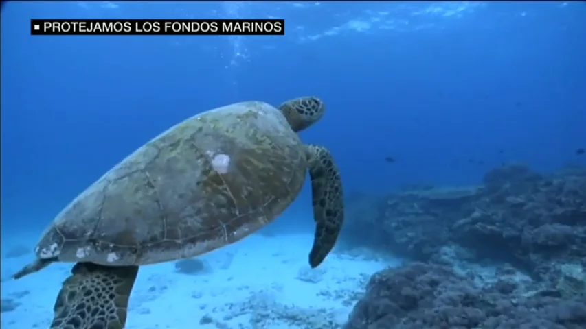 Frame 17.28 de: ¿Conoces los paraísos submarinos que tienen España? Las profundidades de los océanos, las grandes olvidadas